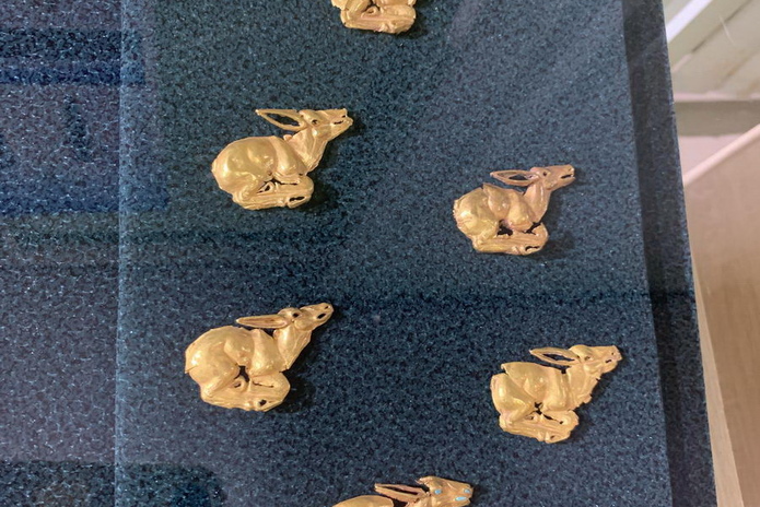 Пора в музей